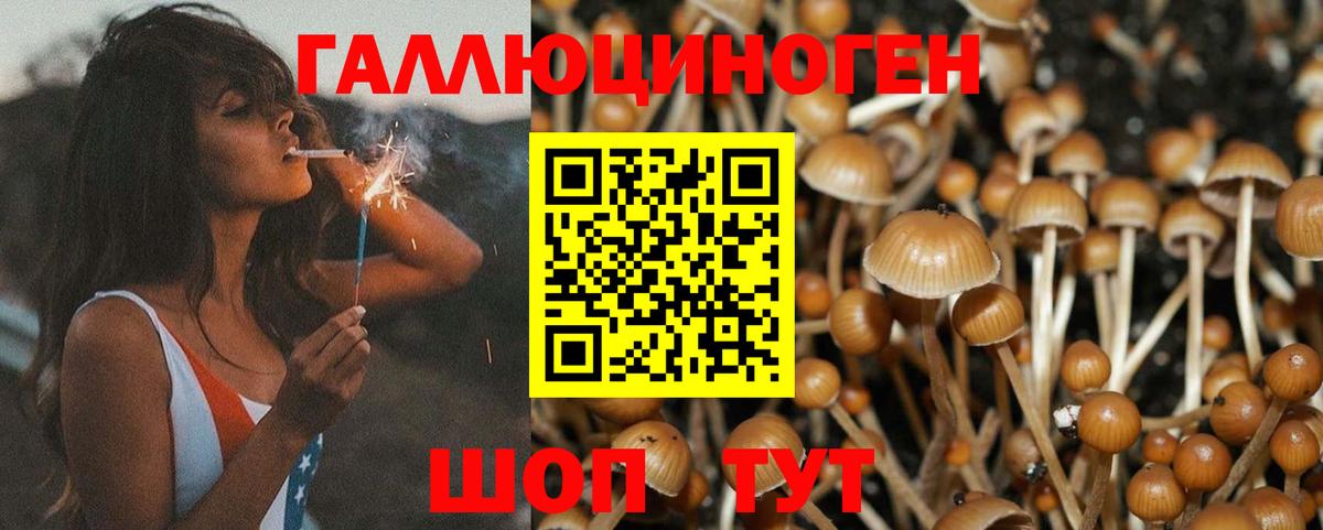 Галлюциногенные грибы мицелий  Вход с VPN  Новочеркасск 